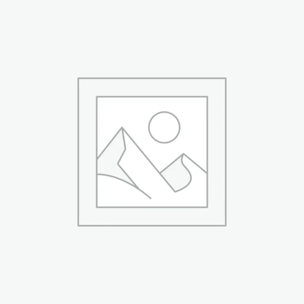 MOTHER GIGABYTE (LGA 1851) B860I AORUS PRO ICE